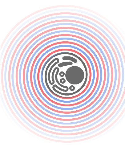 Cell forming a spiral - Dang et al, Cell Systems (2020)