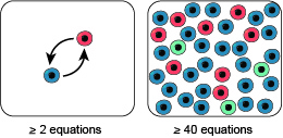 Dormancy spectrum