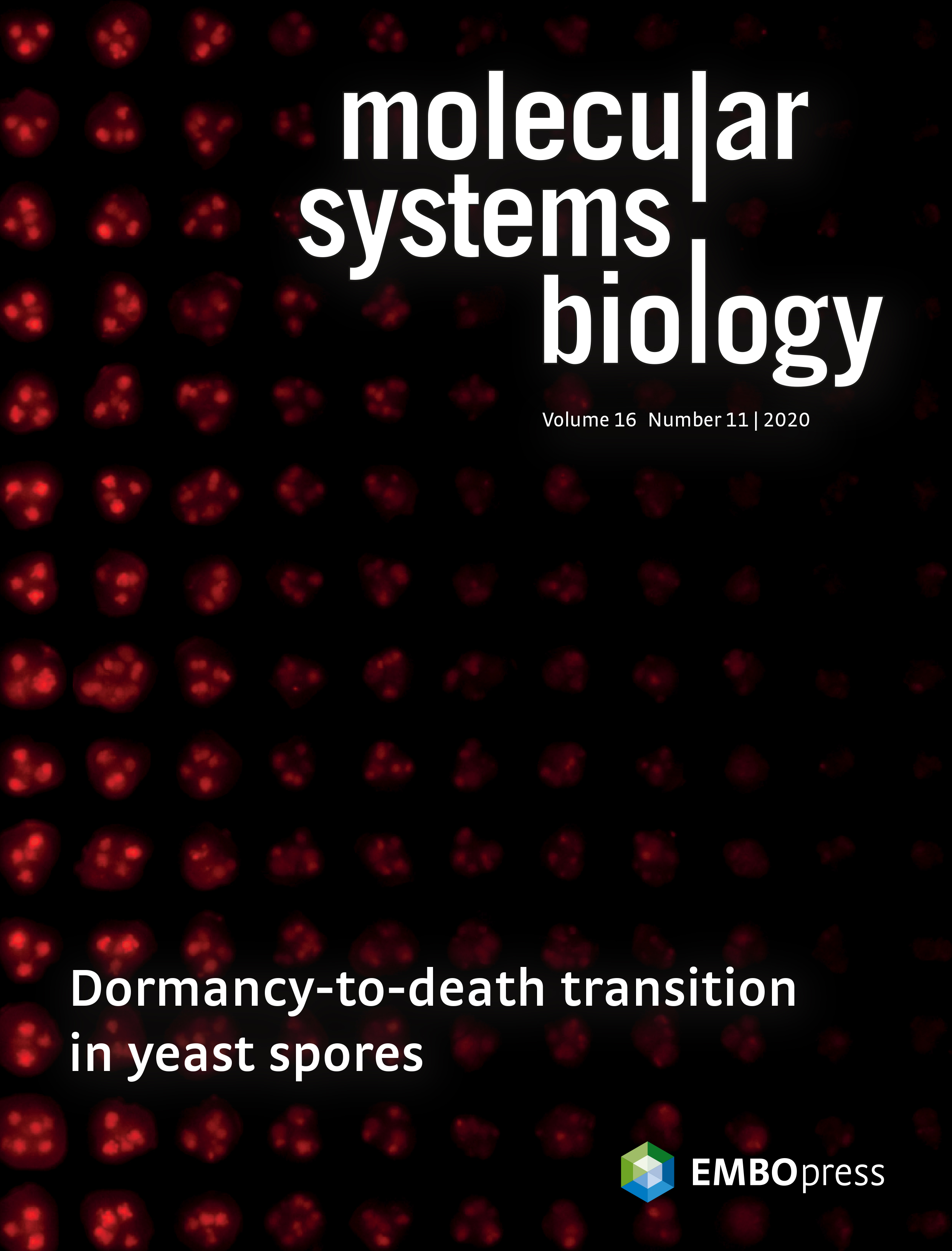 Dormancy spectrum