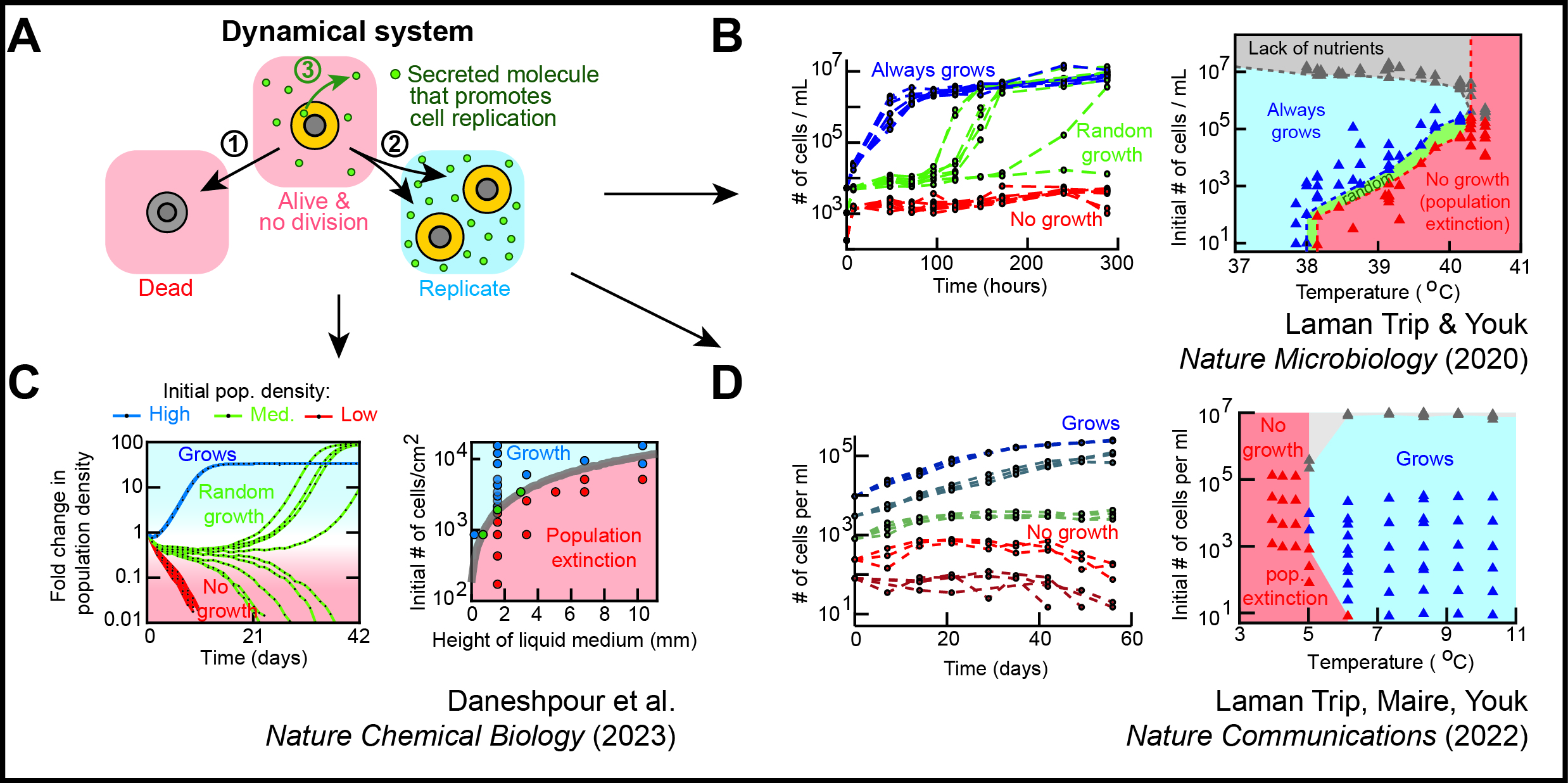 The same dynamical system - the same equations that (A) represents - explains the self-replication dynamics 
and permanent loss of self-replicability for budding yeast cells at high temperatures (in B) and frigid temperatures 
(in D) and for differentiating ES cells (in C). Red curves in (B) and (D) represent populations that become extinct 
(note: dead cells were detected as “particles” in these graphs).