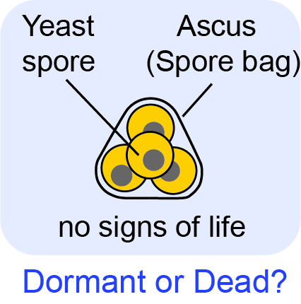 Dormancy spectrum