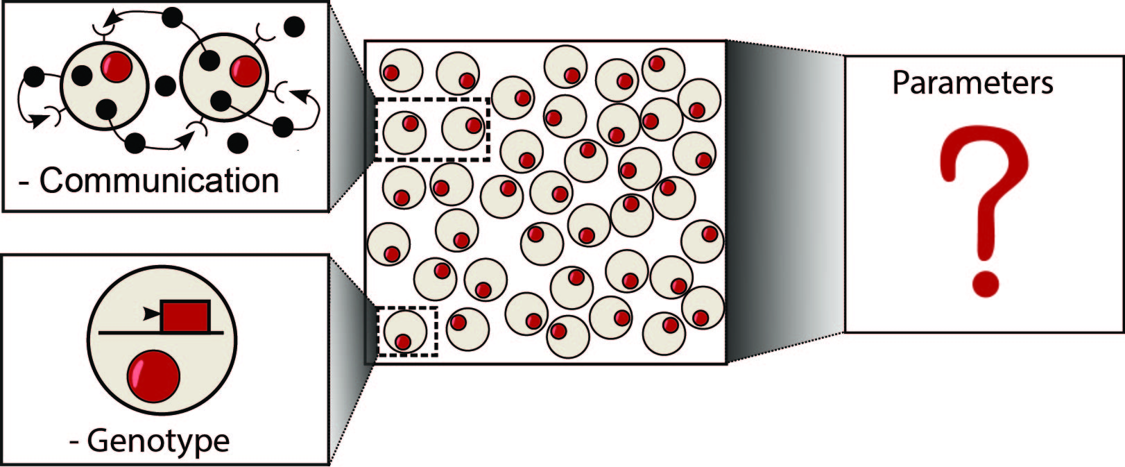 Positive feedbacks and controlling signal-range